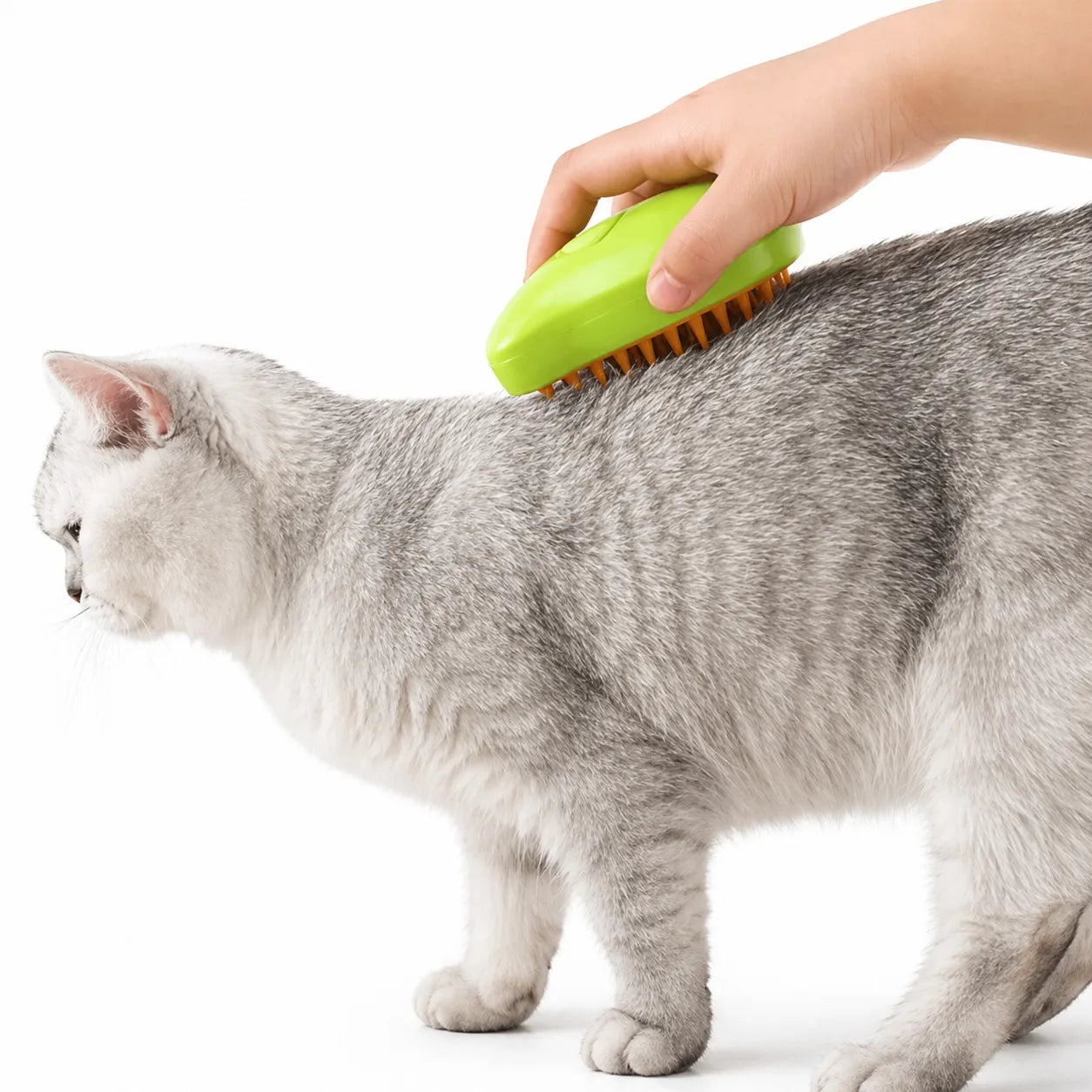 Brosse vapeur chat électrique - Toilettage massage 3 en 1