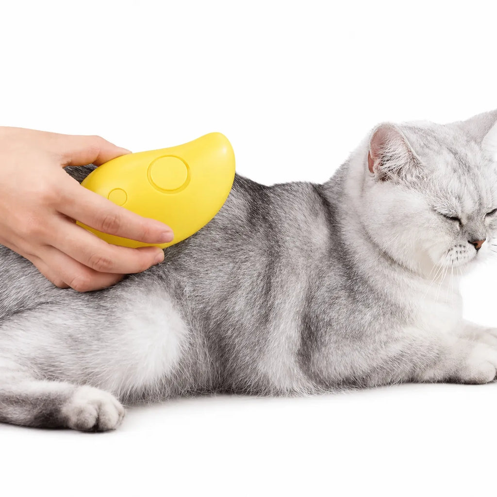 Brosse vapeur chat électrique - Toilettage massage 3 en 1
