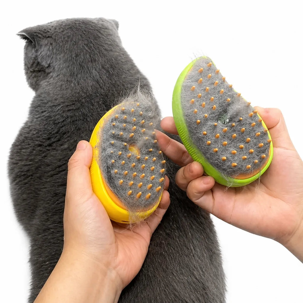 Brosse vapeur chat électrique - Toilettage massage 3 en 1