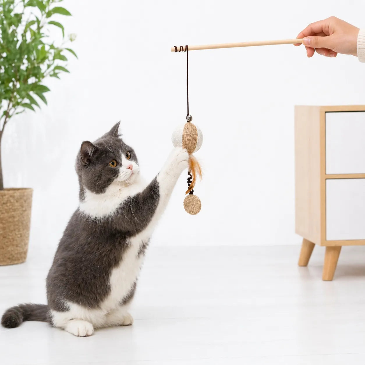 Canne à pêche chat en bois - Plumes naturelles et clochette