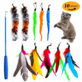 Canne a pêche chat télescopique - Set 11 pièces plumes rechange