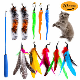 11 PCS
