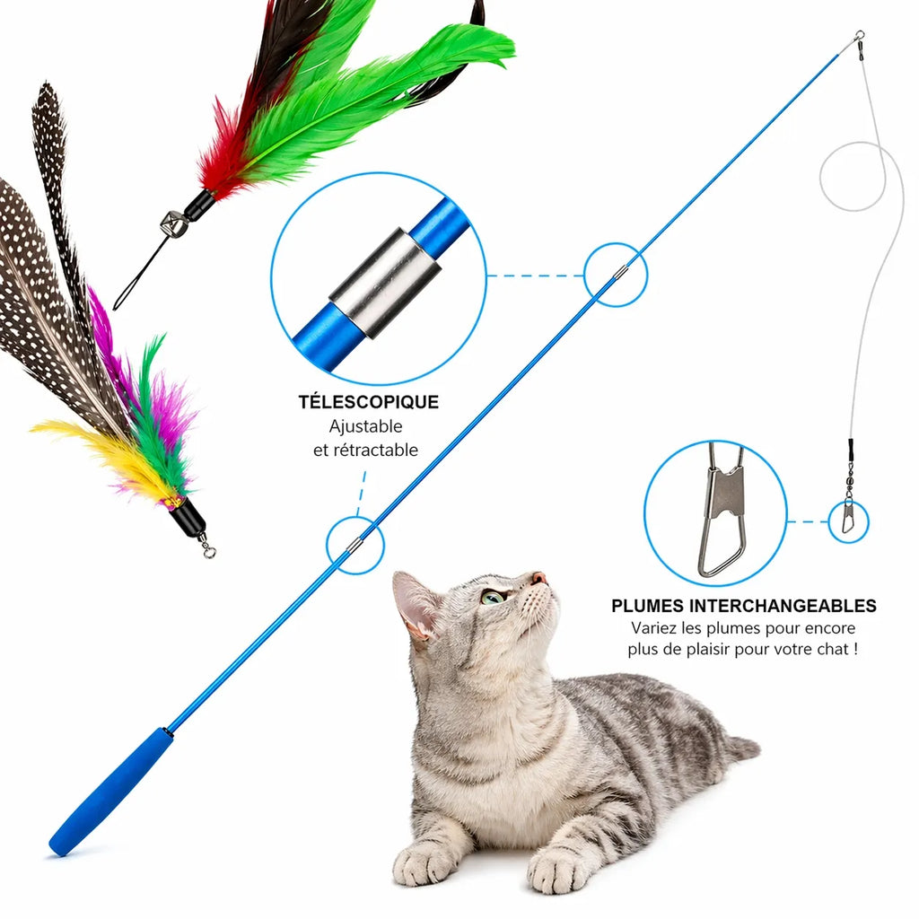 Canne a pêche chat télescopique - Set 11 pièces plumes rechange