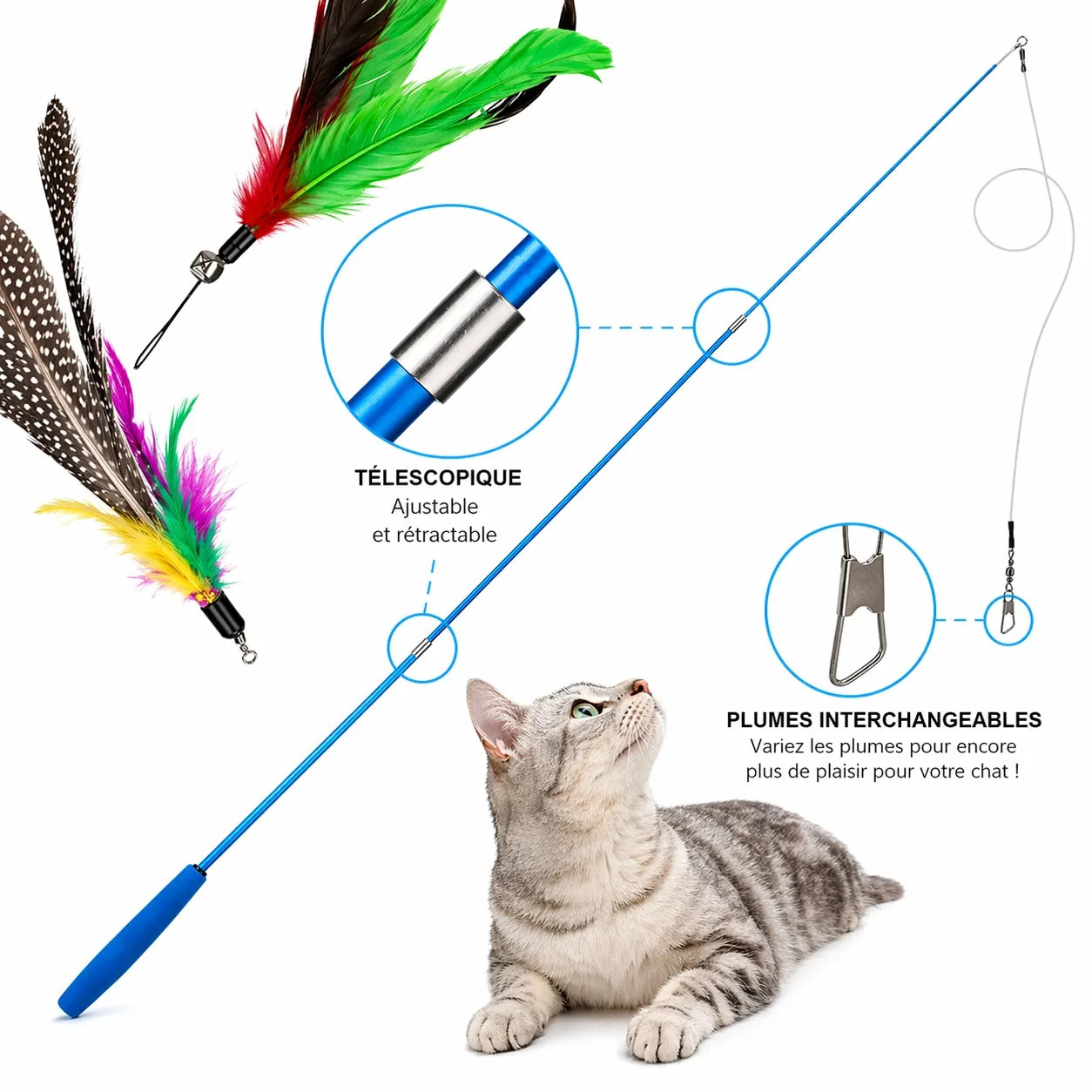 Canne a pêche chat télescopique - Set 11 pièces plumes rechange