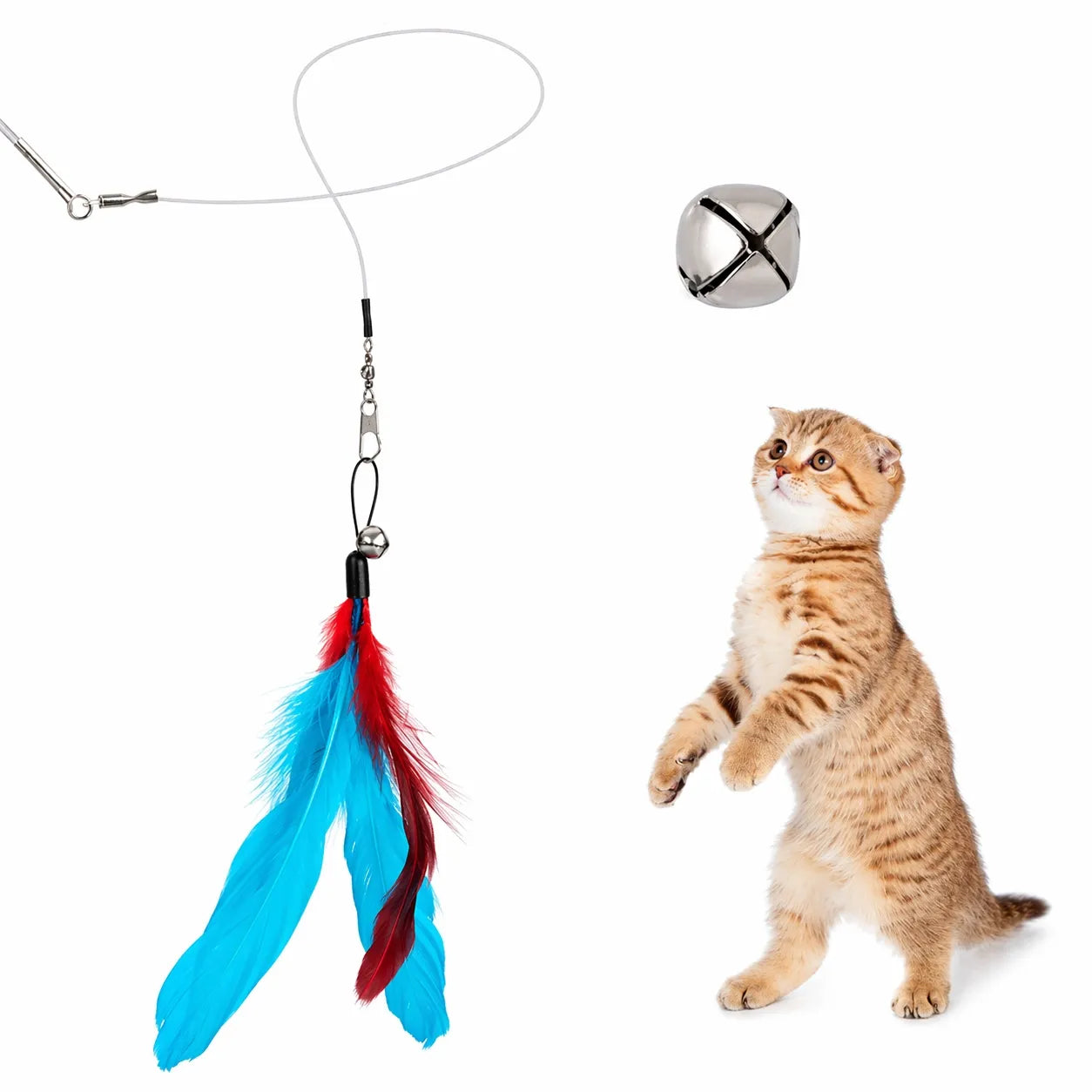 Canne a pêche chat télescopique - Set 11 pièces plumes rechange