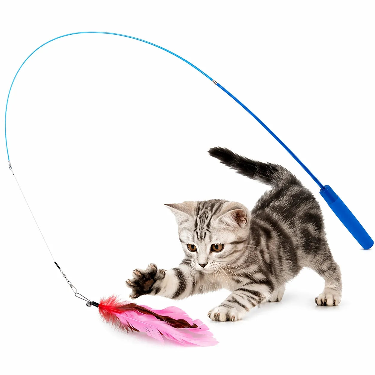 Canne a pêche chat télescopique - Set 11 pièces plumes rechange