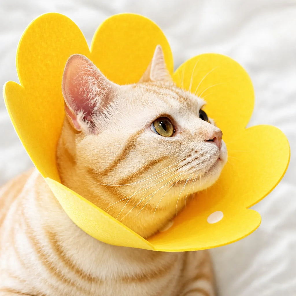 Collerette chat florale en feutre - Cône doux ajustable