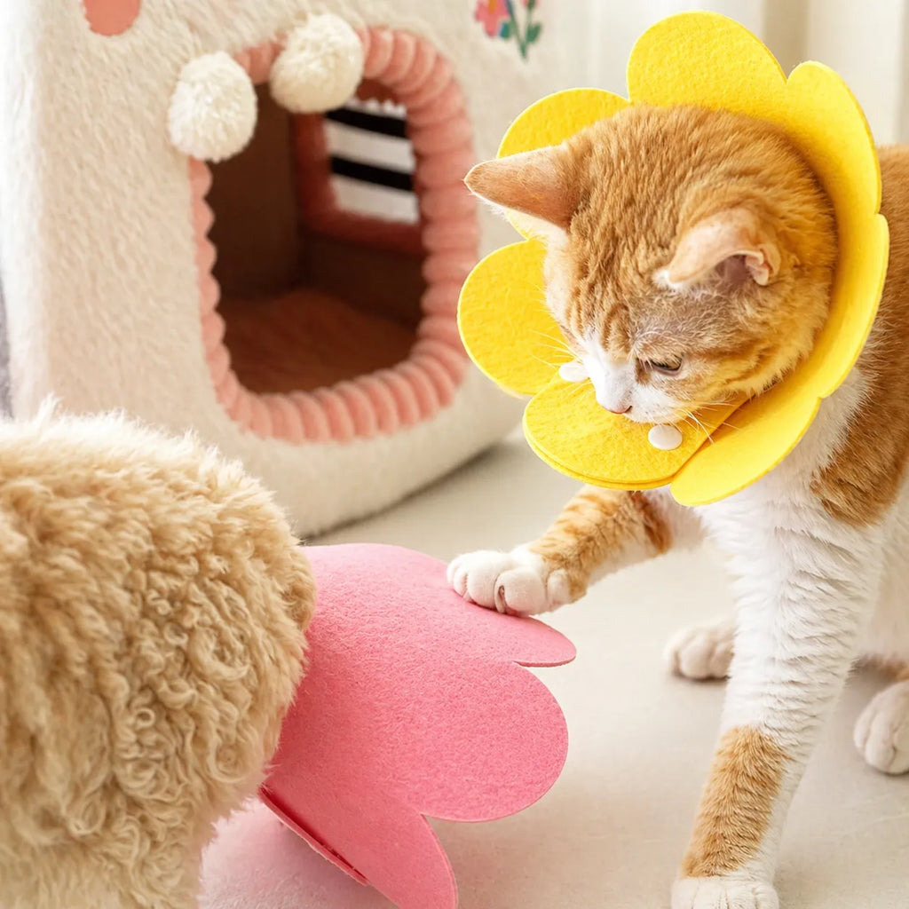 Collerette chat florale en feutre - Cône doux ajustable