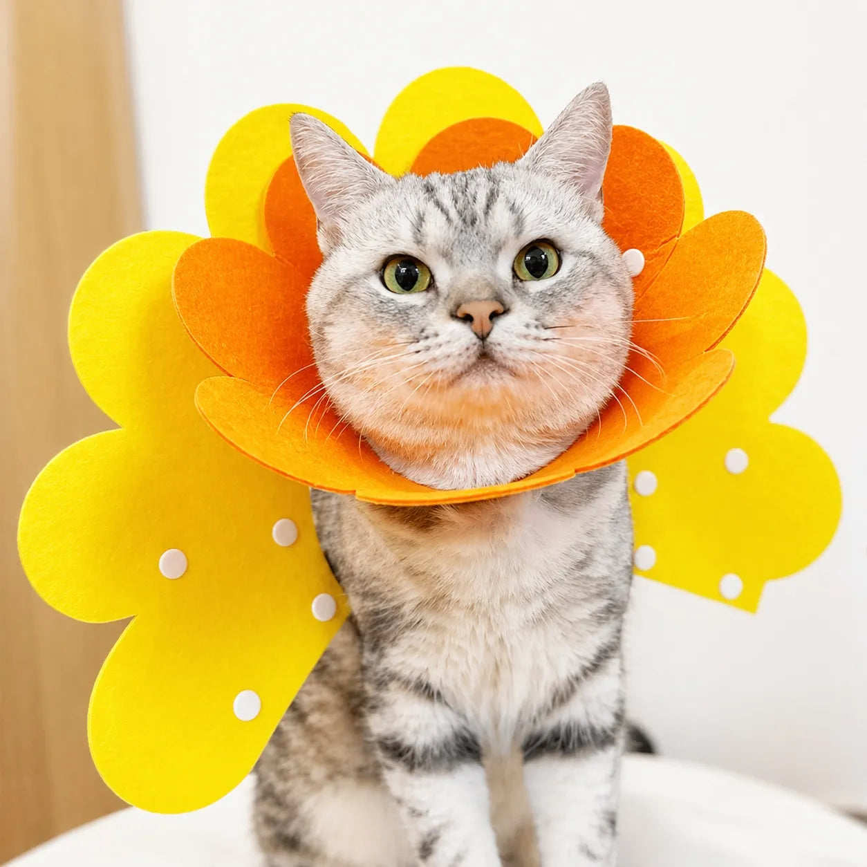 Collerette chat florale en feutre - Cône doux ajustable