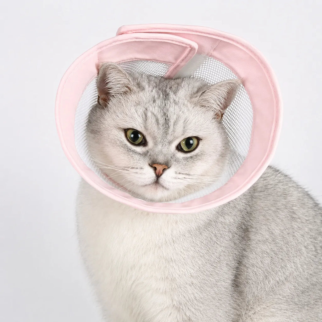 Collerette chat respirante - Cône médical doux en coton mesh