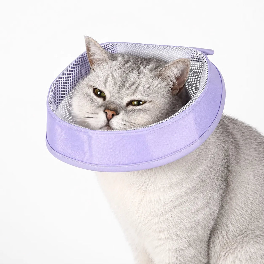 Collerette chat respirante - Cône médical doux en coton mesh