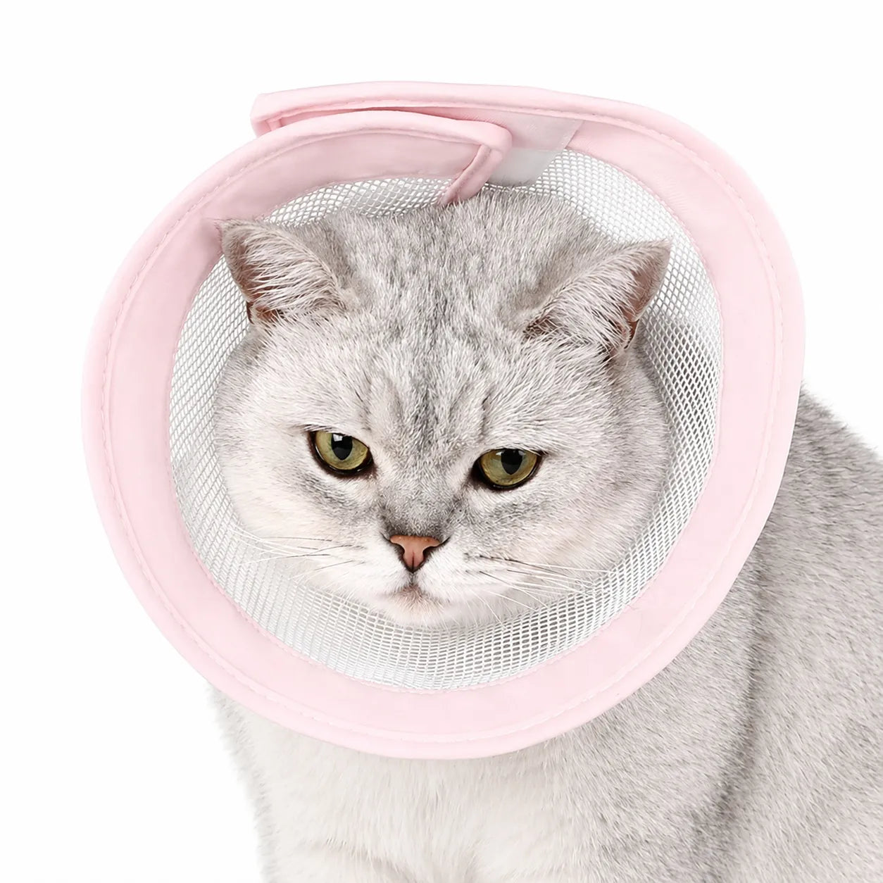 Collerette chat respirante - Cône médical doux en coton mesh