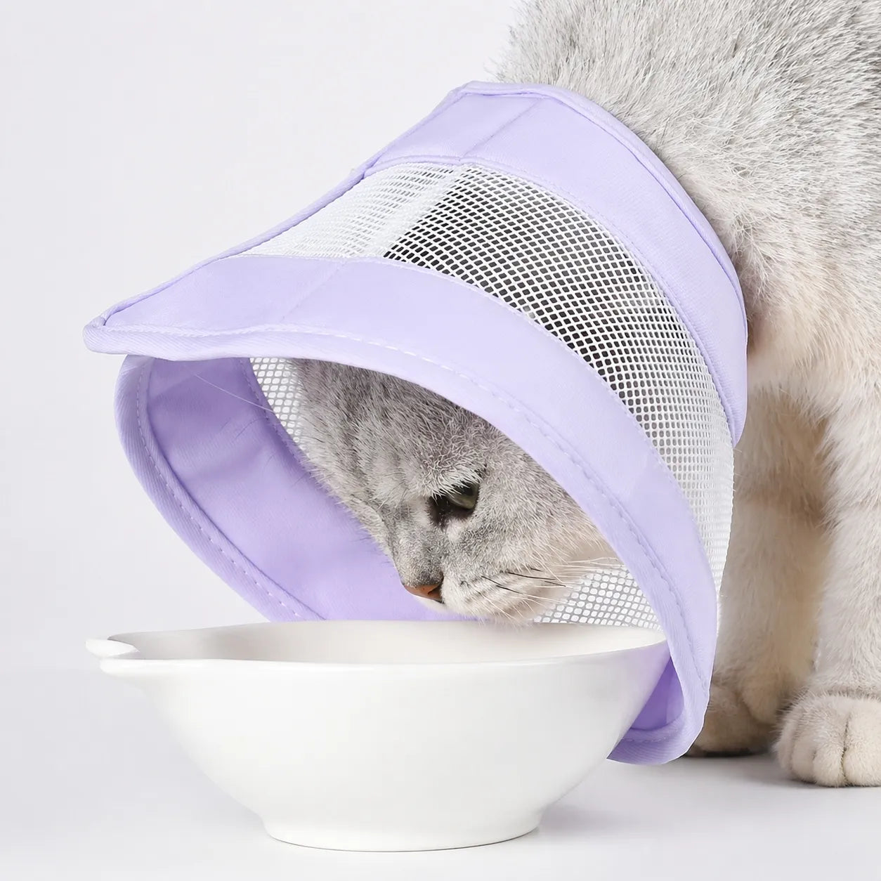 Collerette chat respirante - Cône médical doux en coton mesh
