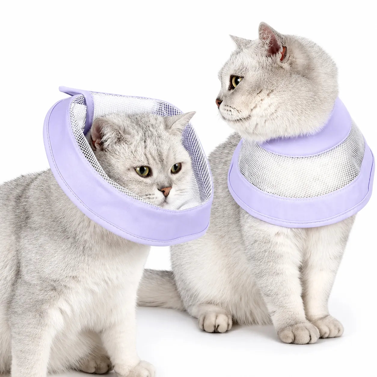Collerette chat respirante - Cône médical doux en coton mesh