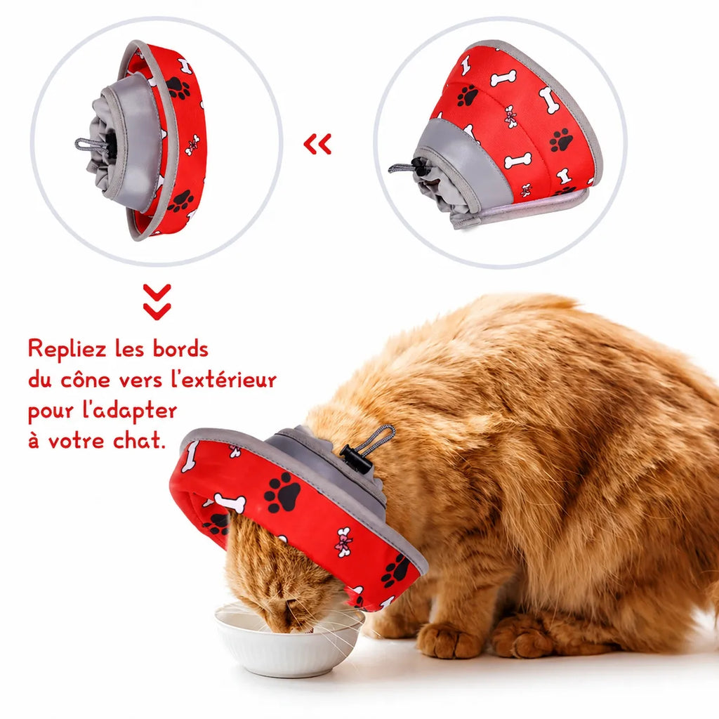 Collerette pour chat souple - Cône réglable post chirurgie