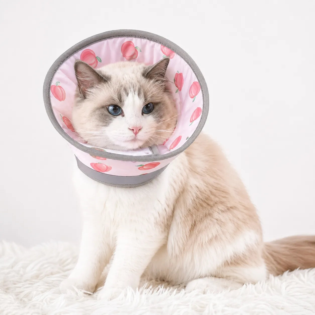 Collerette pour chat souple - Cône réglable post chirurgie