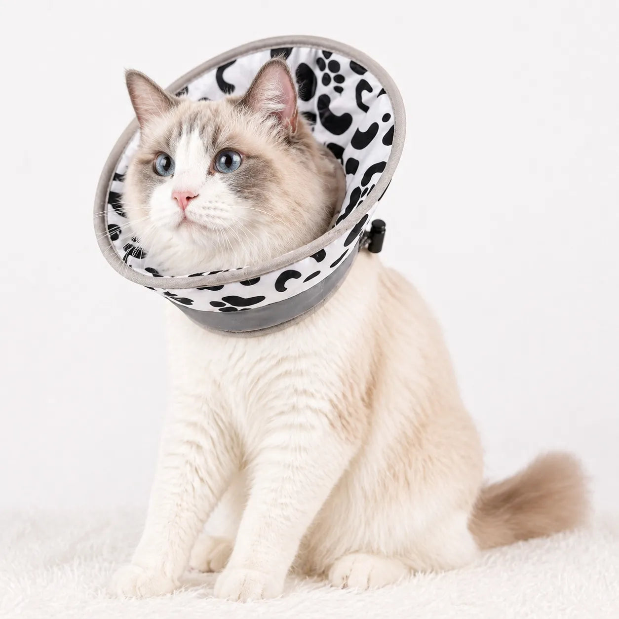 Collerette pour chat souple - Cône réglable post chirurgie