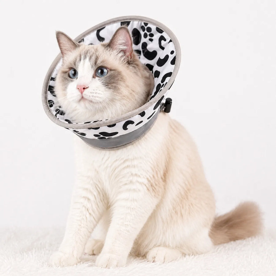 Collerette pour chat souple - Cône réglable post chirurgie