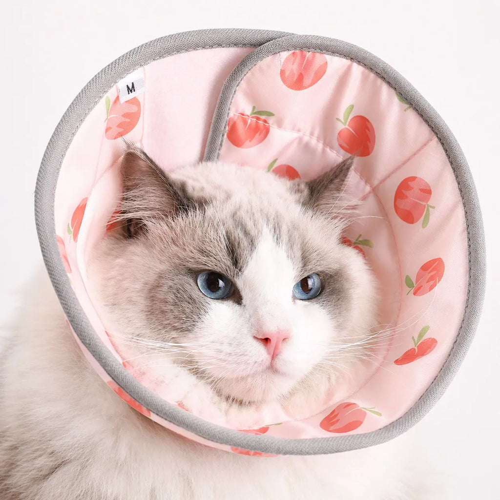 Collerette pour chat souple - Cône réglable post chirurgie