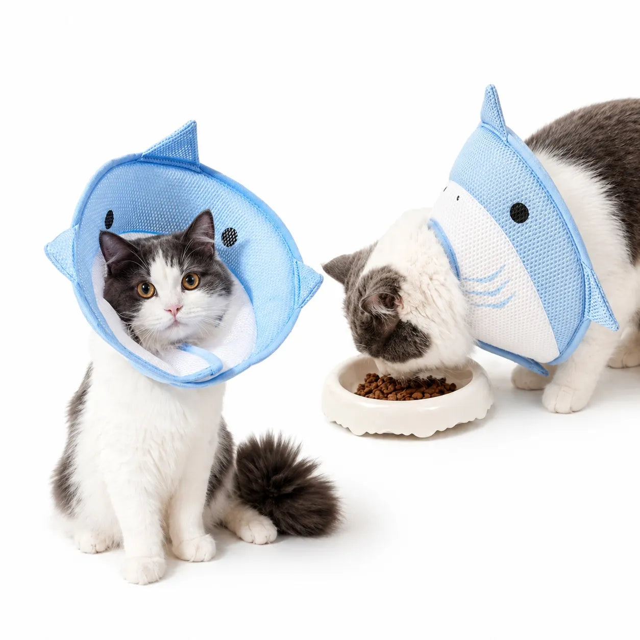Collerette pour chats originale - Cône souple requin abeille