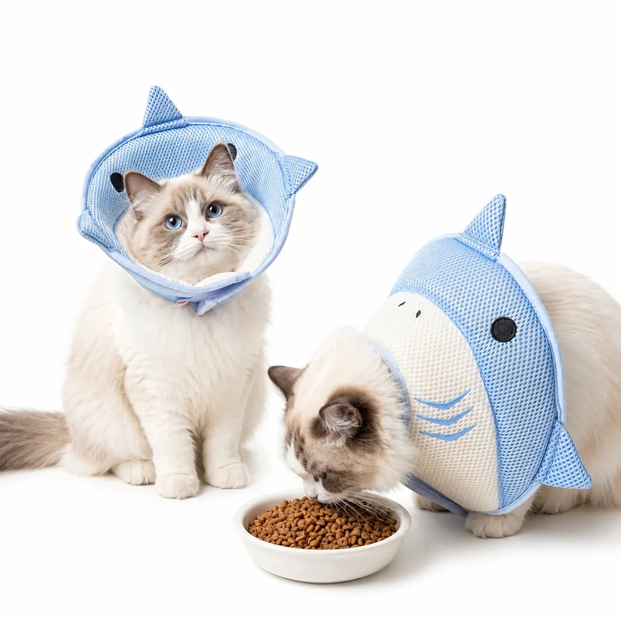 Collerette pour chats originale - Cône souple requin abeille
