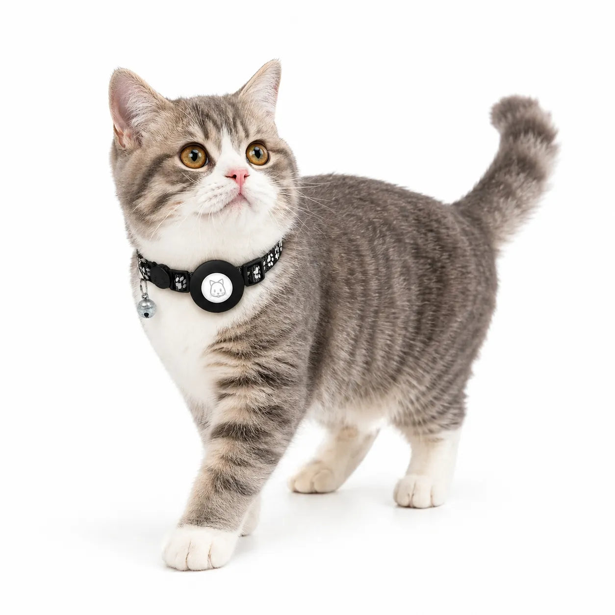 Collier Airtag Chat - Réfléchissant, Sécurisé et Confortable