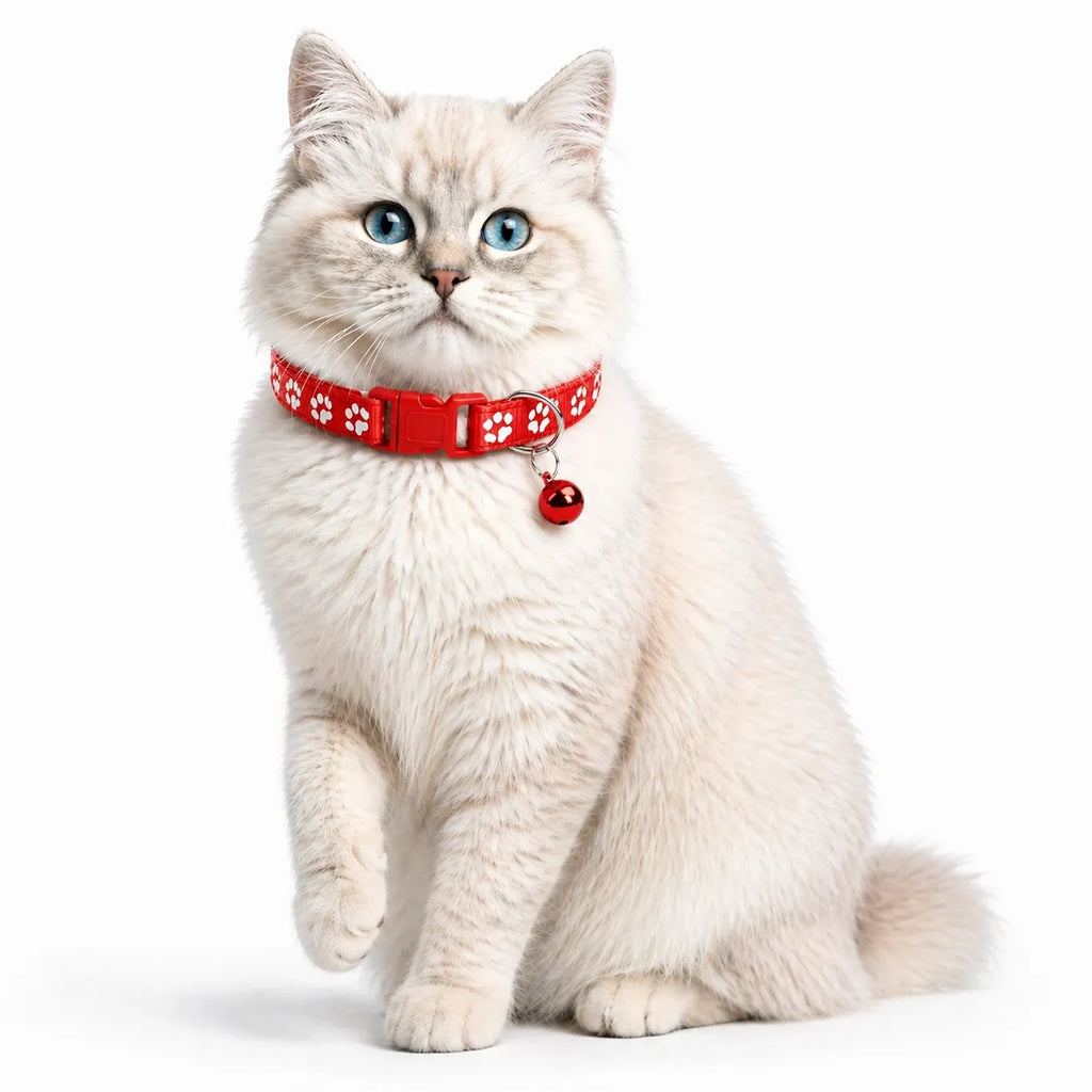 Collier chat à cloche - Réglable doux et plusieurs coloris
