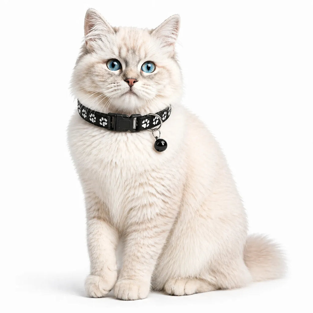 Collier chat à cloche - Réglable doux et plusieurs coloris