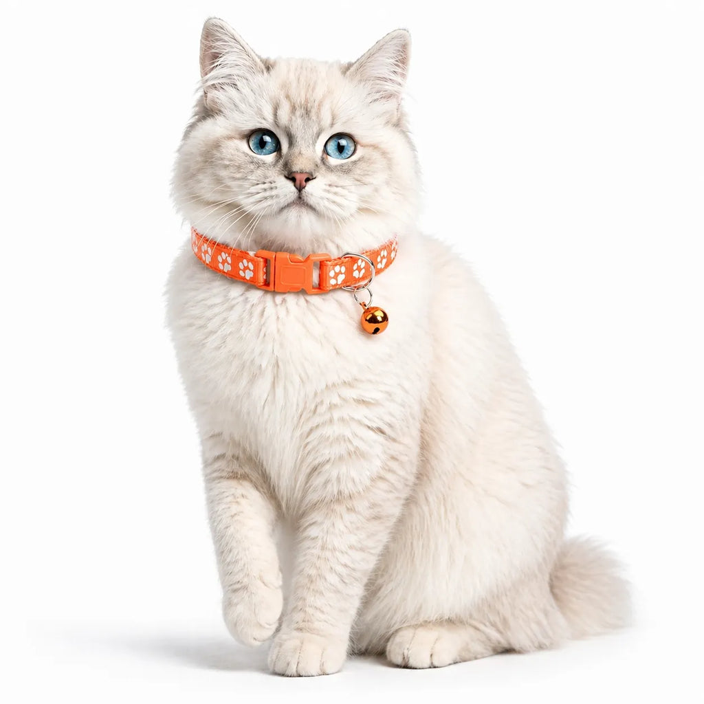 Collier chat à cloche - Réglable doux et plusieurs coloris