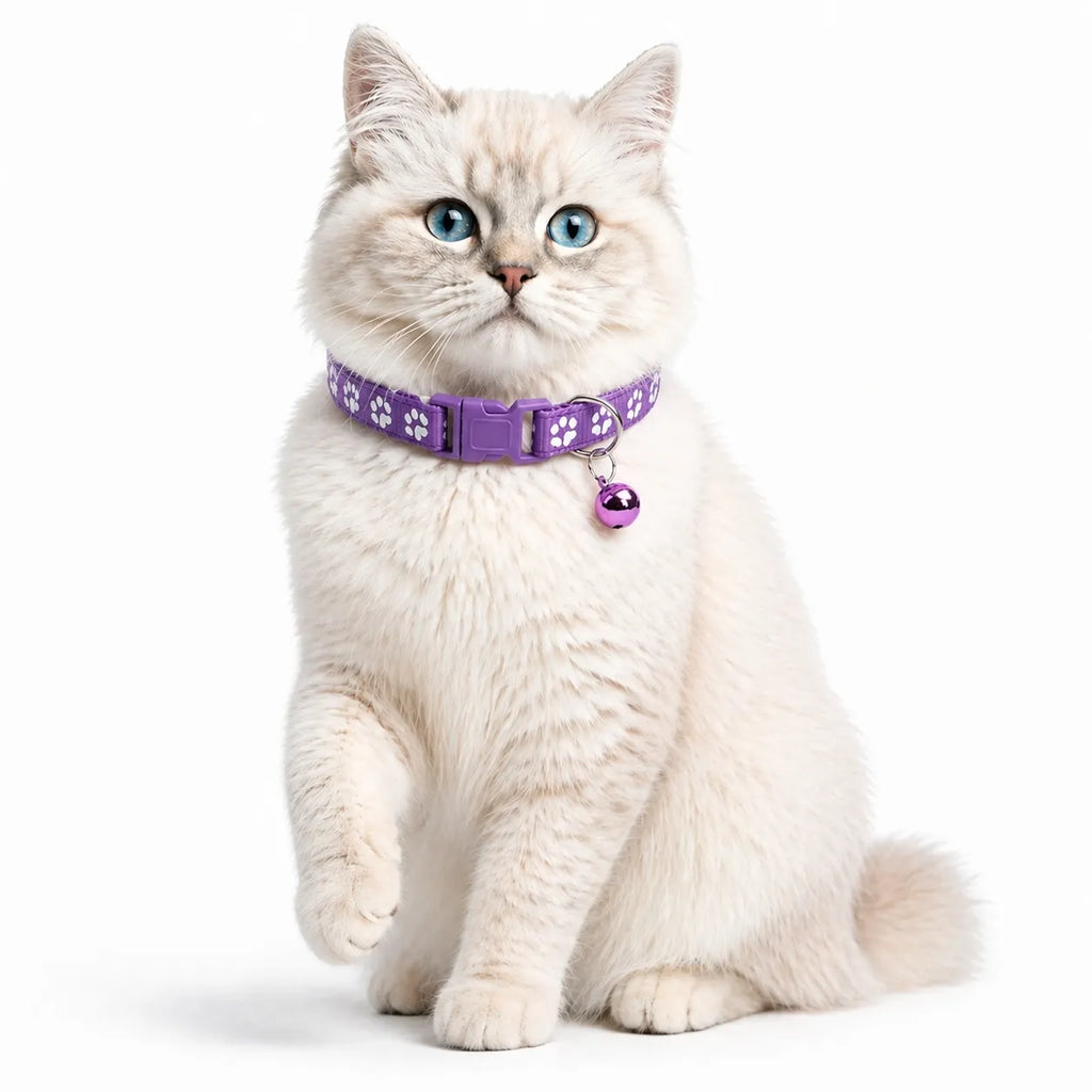 Collier chat à cloche - Réglable doux et plusieurs coloris