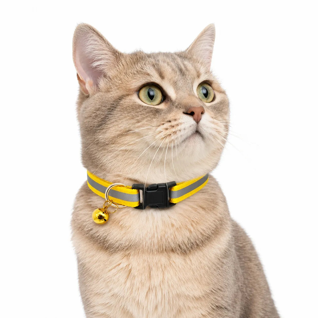 Collier chat réfléchissant à clochette - Lot de 2 coloris