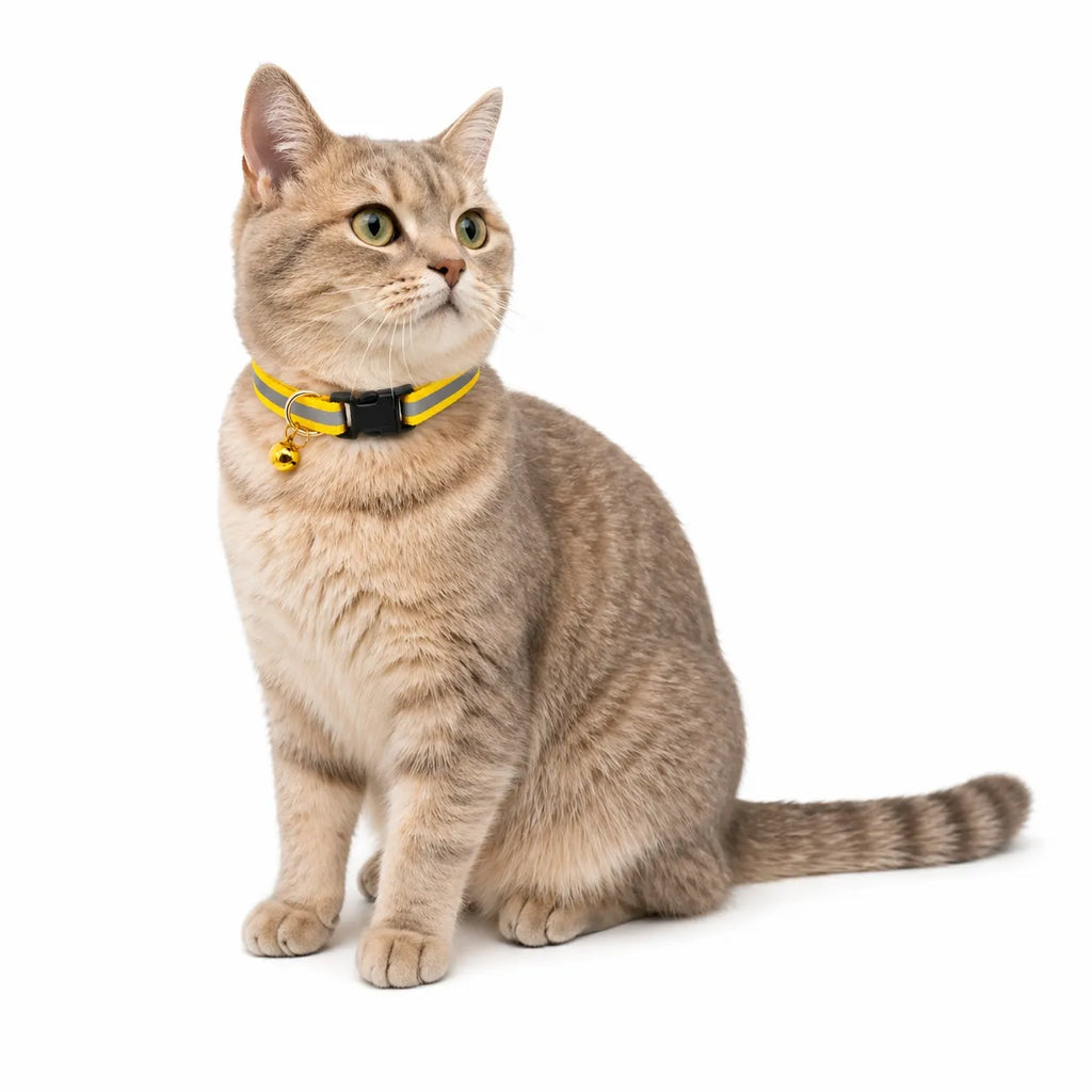 Collier chat réfléchissant à clochette - Lot de 2 coloris