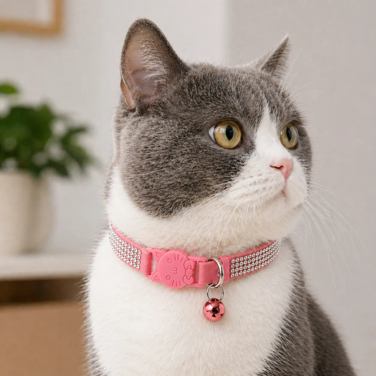 Collier chat suédé strass - Clochette sécurité S et XS