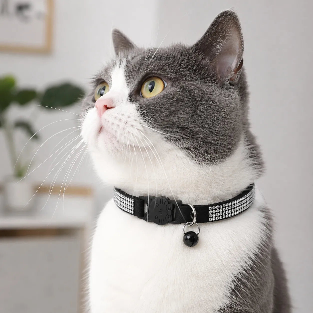Collier chat suédé strass - Clochette sécurité S et XS