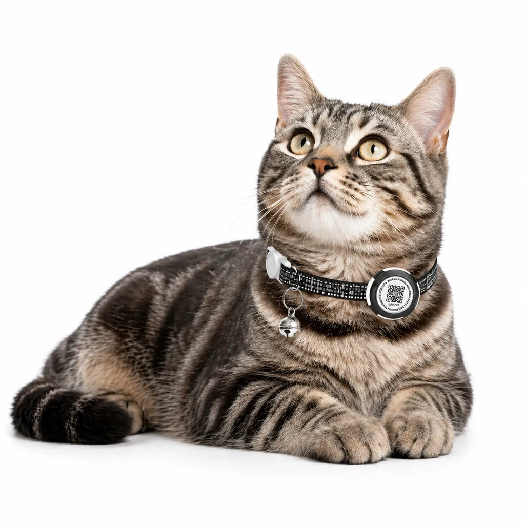 Collier GPS chat sans abonnement pour Airtag - QR code sécurité