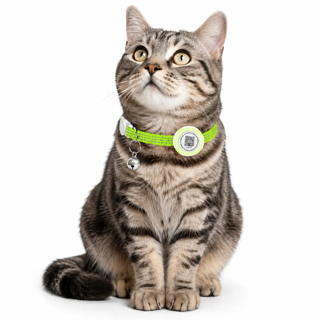 Collier GPS chat sans abonnement pour Airtag - QR code sécurité