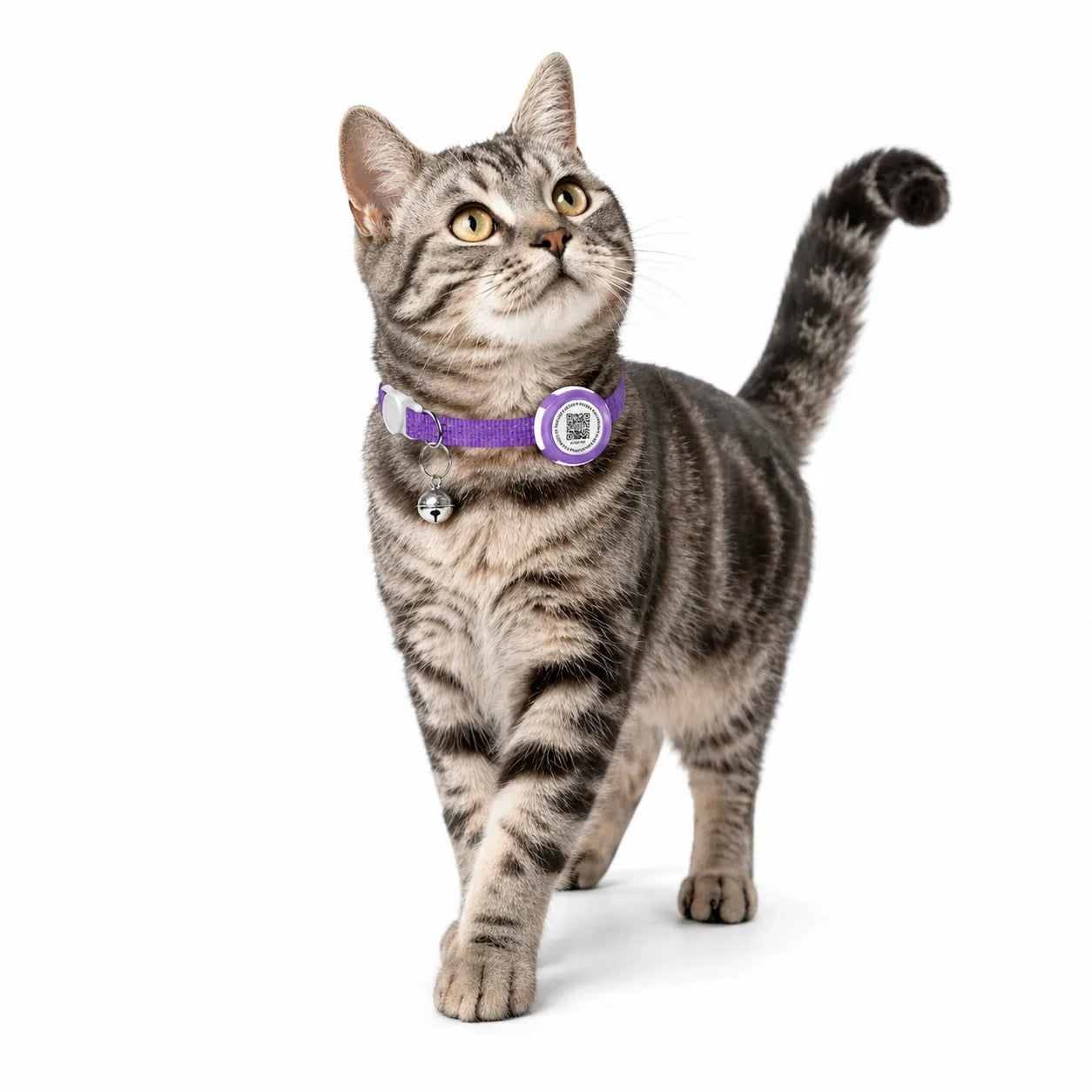 Collier GPS chat sans abonnement pour Airtag - QR code sécurité