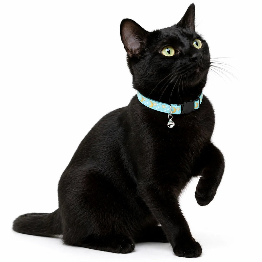 Collier pour chat étoiles et lunes - Clochette réglable 8 coloris