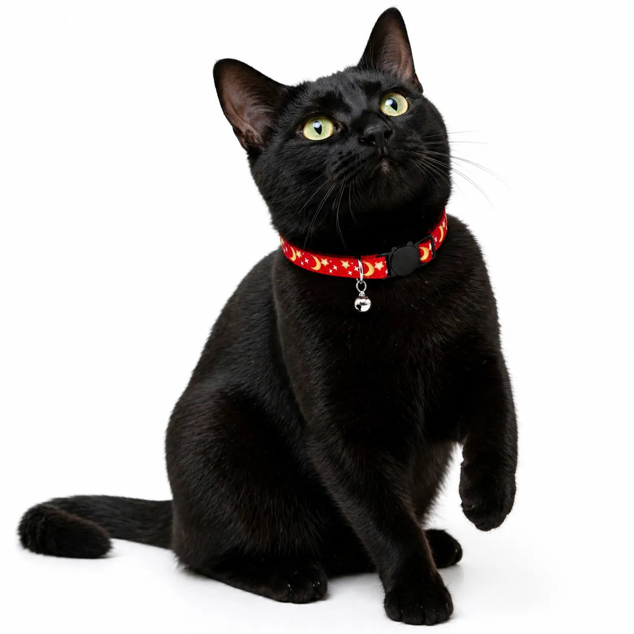 Collier pour chat étoiles et lunes - Clochette réglable 8 coloris
