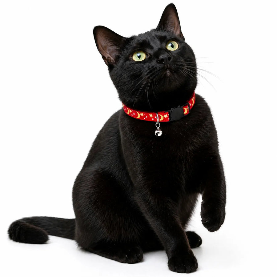 Collier pour chat étoiles et lunes - Clochette réglable 8 coloris