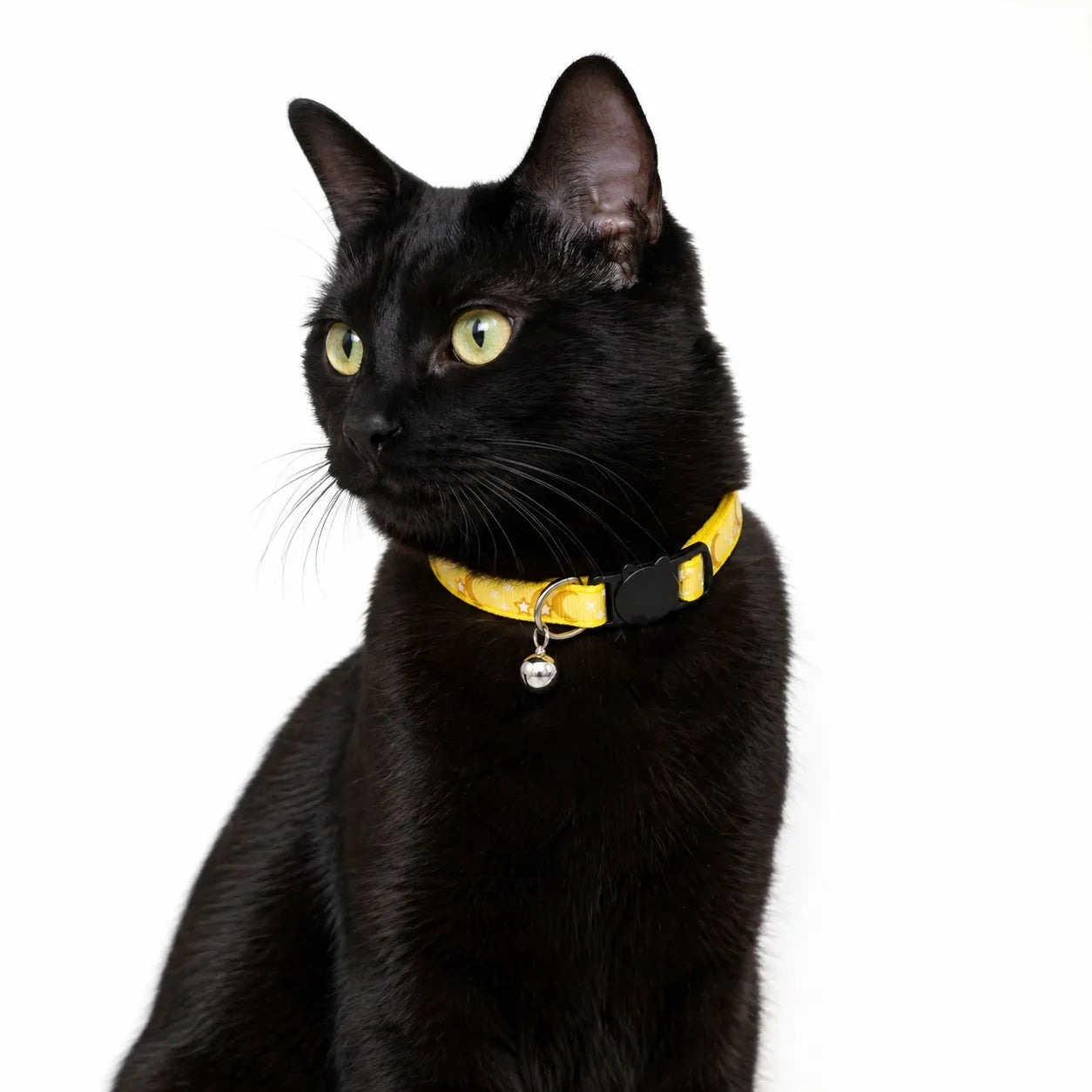Collier pour chat étoiles et lunes - Clochette réglable 8 coloris