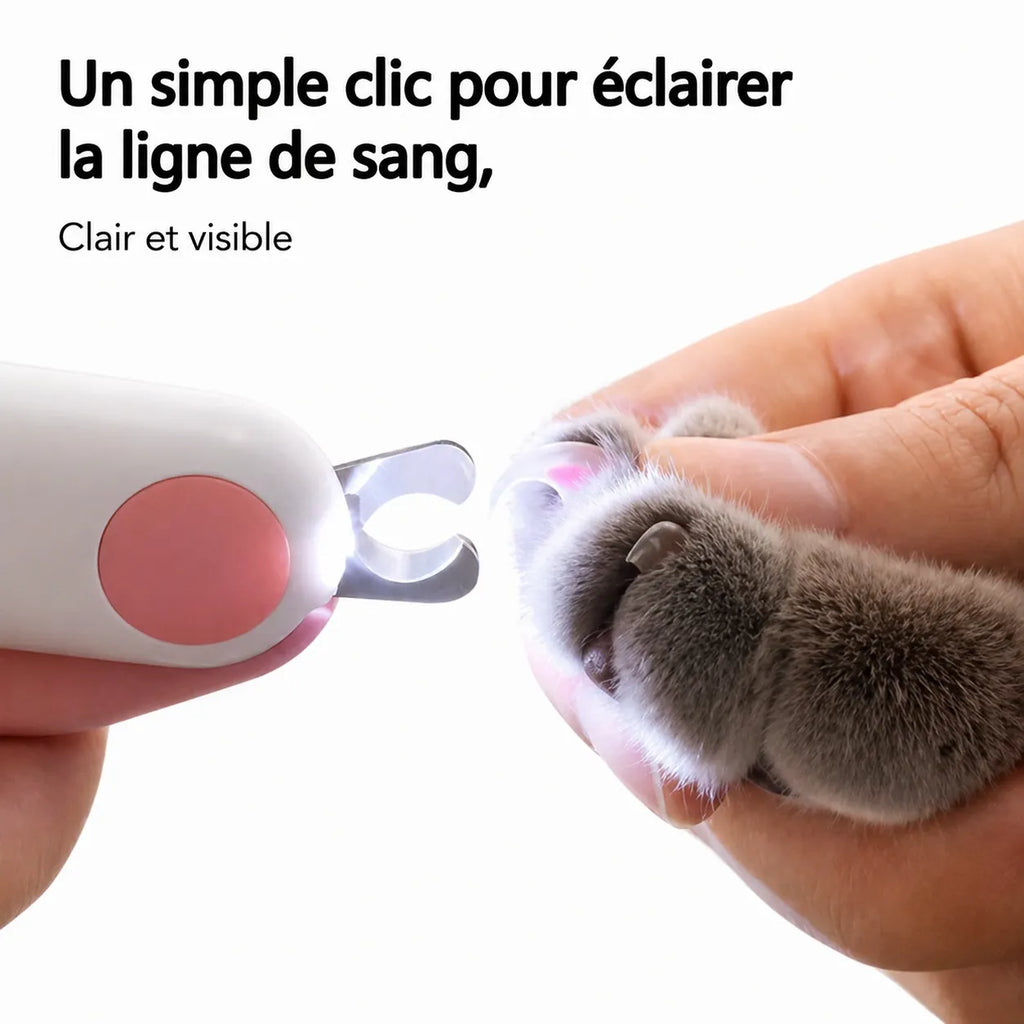 Coupe griffe chat LED - Ciseau acier verrou sécurité précis