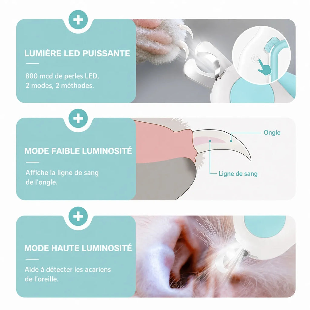 Coupe griffe chat LED - Ciseau acier verrou sécurité précis