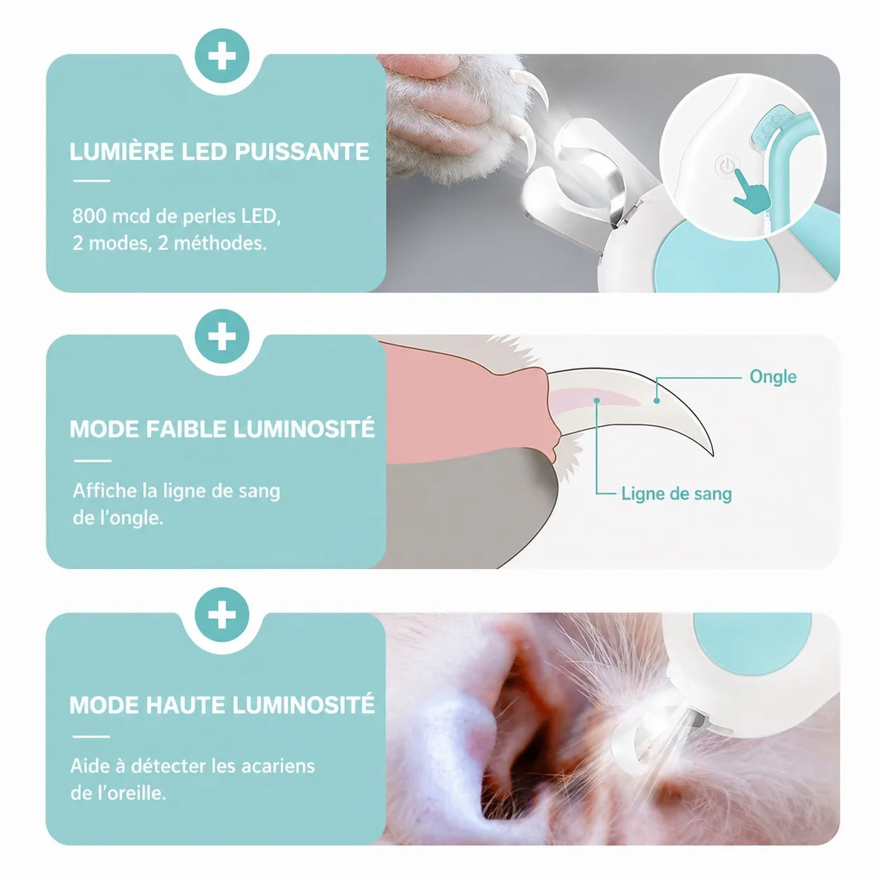 Coupe griffe chat LED - Ciseau acier verrou sécurité précis