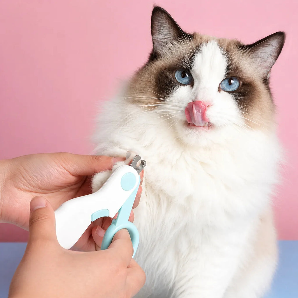 Coupe griffe chat LED - Ciseau acier verrou sécurité précis