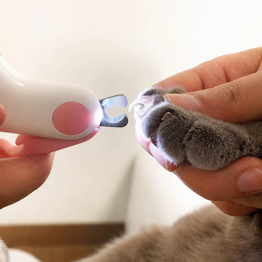 Coupe griffe chat LED - Ciseau acier verrou sécurité précis