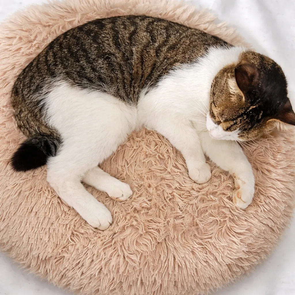 Coussin rond chat en peluche - Nid douillet pour félin