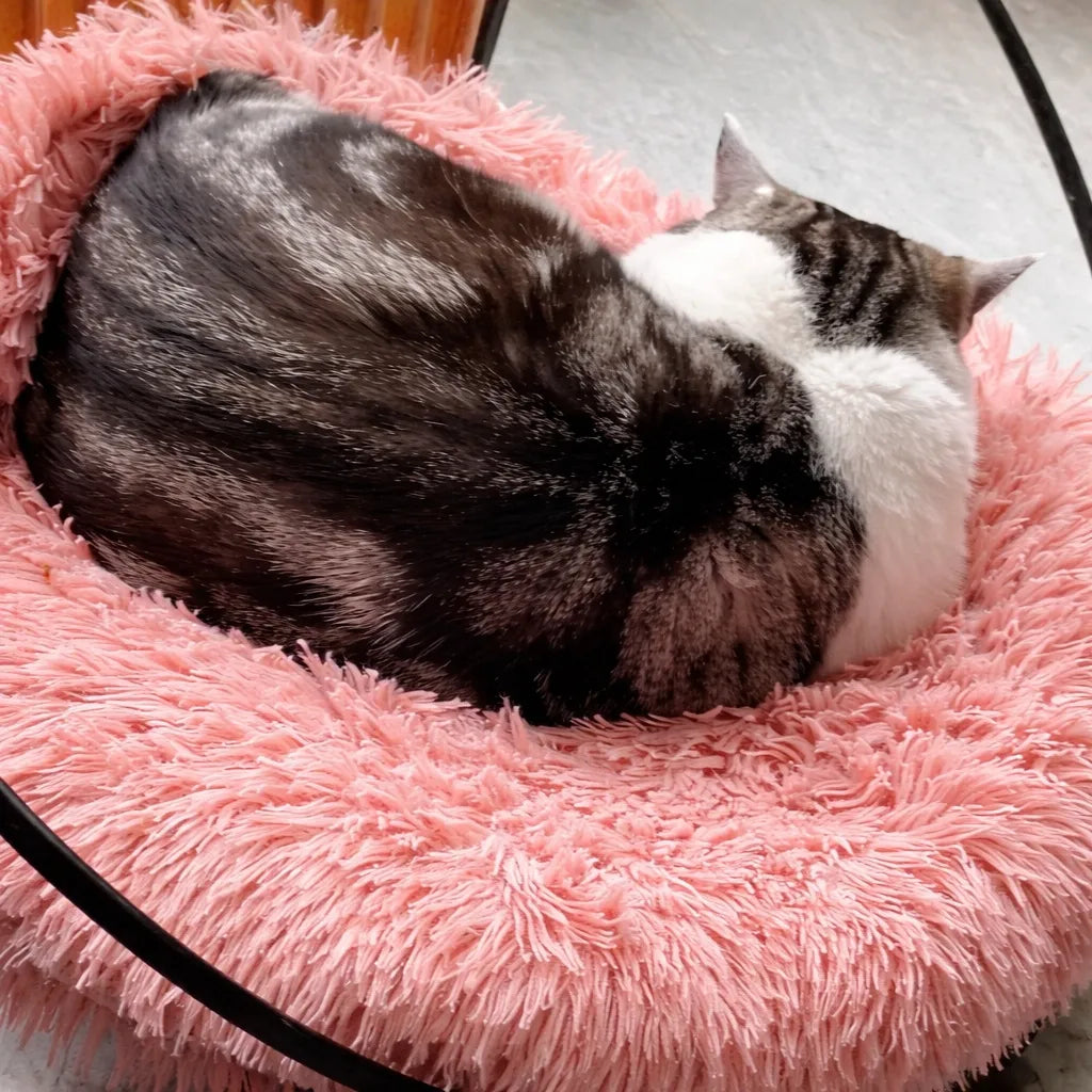 Coussin rond chat en peluche - Nid douillet pour félin