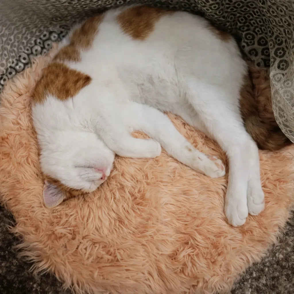 Coussin rond chat en peluche - Nid douillet pour félin
