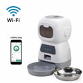 Distributeur croquette chat WiFi 3,5L - Message vocal inclus